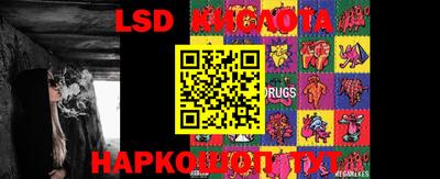спиды Донской