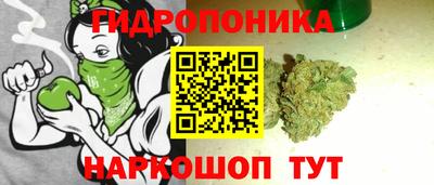 крисы Гусев