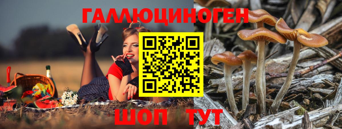Галлюциногенные грибы ЛСД Заволжье